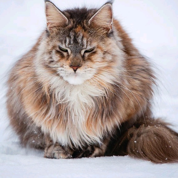 Meet the Posher Other - Meet your Posher, Dasha